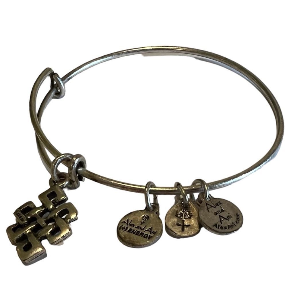 Alex and Ani Endless Knot Silver Charm Bangle Bracelet - Picture 5 of 10